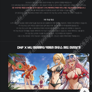 던파 100시간 페러메딕/키메라 마우스패드+각성 컷신 판매합니다.