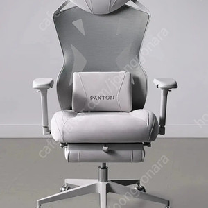 paxton 게이밍 의자