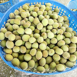 개복숭아 10kg