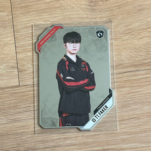 T1 티원 faker 페이커 포토카드 서머 포카 양도 판매 buffun
