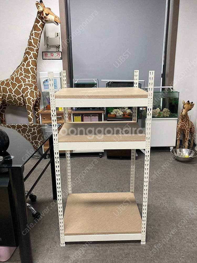 (경기 북부) 금붕어, 구피 키우기 2자 광폭, 2자 슬림, 2자 광폭 분할 수조 축양장 어항 조명 세트 S급 판매--3