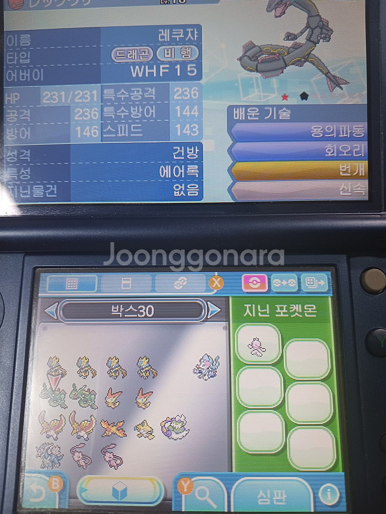 포켓몬스터 배포 포켓몬--3