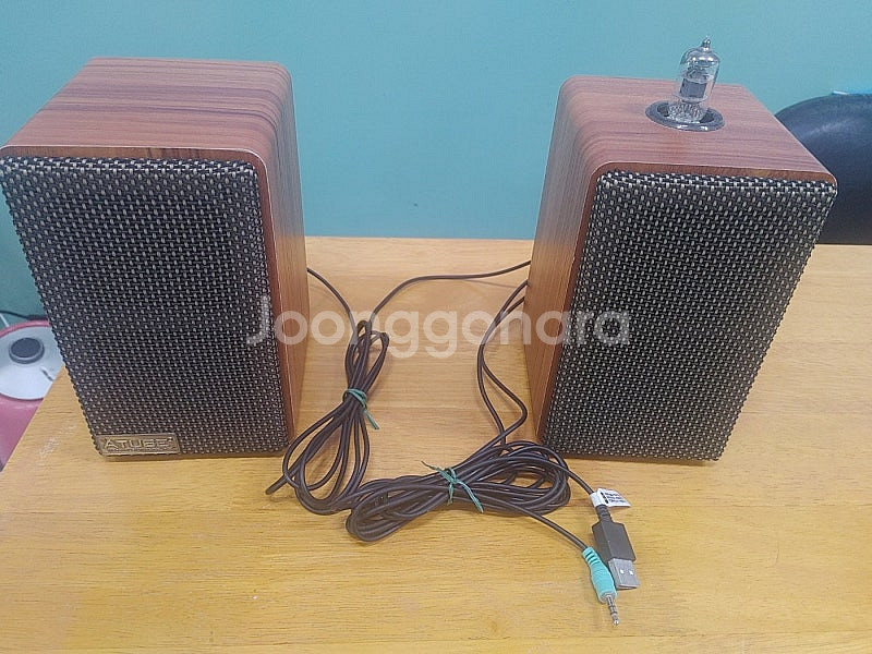 캔스톤 진공관 북셀프 스피커 ATP-1--0