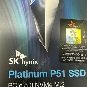 하이닉스 P51 SSD 2TB