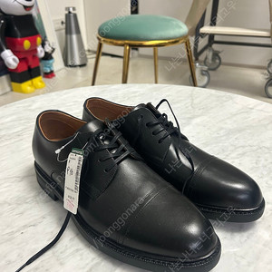 새제품) 폴로랄프로렌 옥스포드 슈즈 us8(260-265)