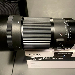 시그마 아트 dgdn 105mm 마크로 렌즈 소니