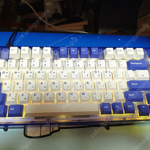 앱코 ag75w 유무선 갈축 키보드 팝니다.