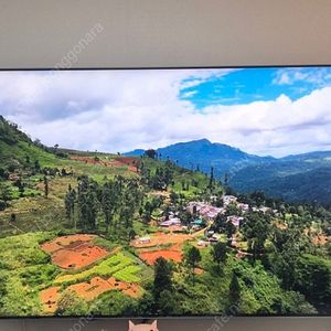 삼성 75인치 NEO QLED TV판매