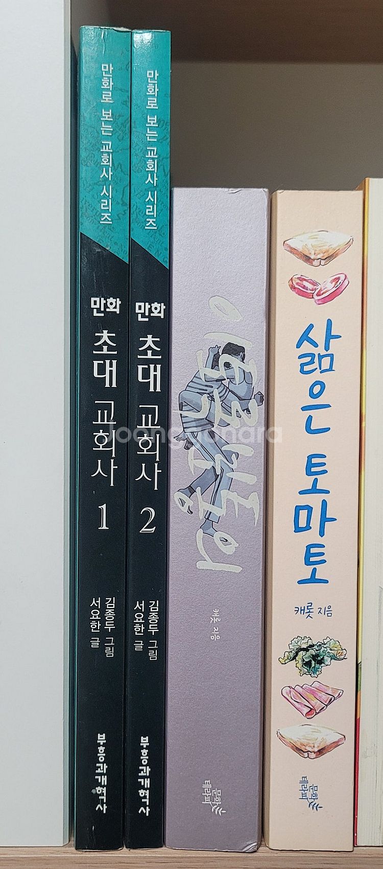 이토록 보통의 삶은 토마토. 만화 초대 교회사 한국전통...--1