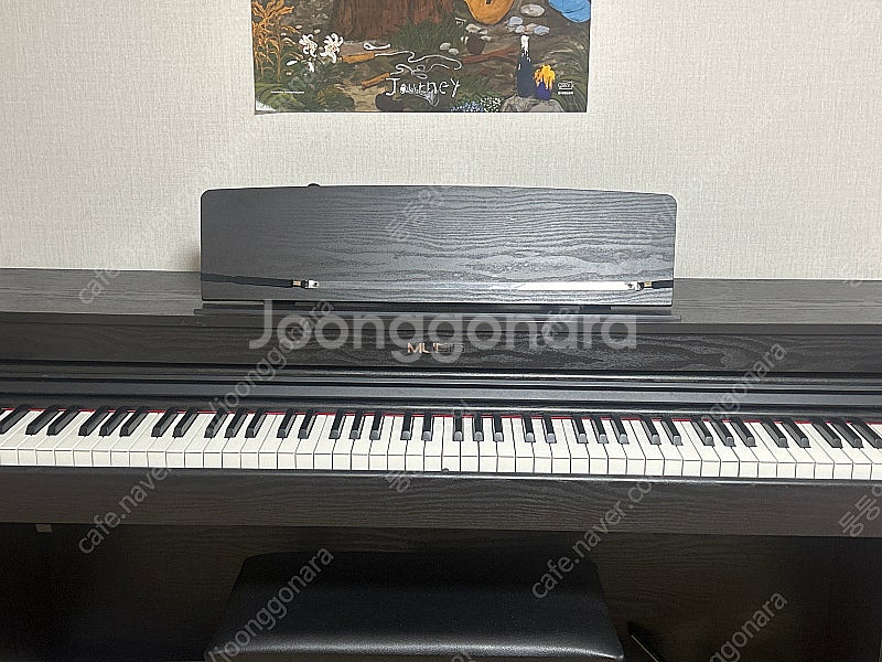 뮤디스300 MUDIS MF-300L Plus 디지털 ...--0