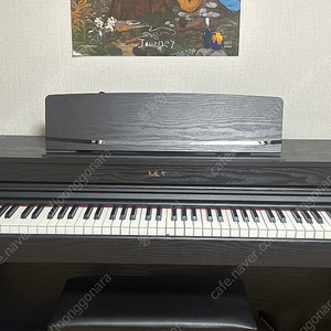 뮤디스300 MUDIS MF-300L Plus 디지털 피아노