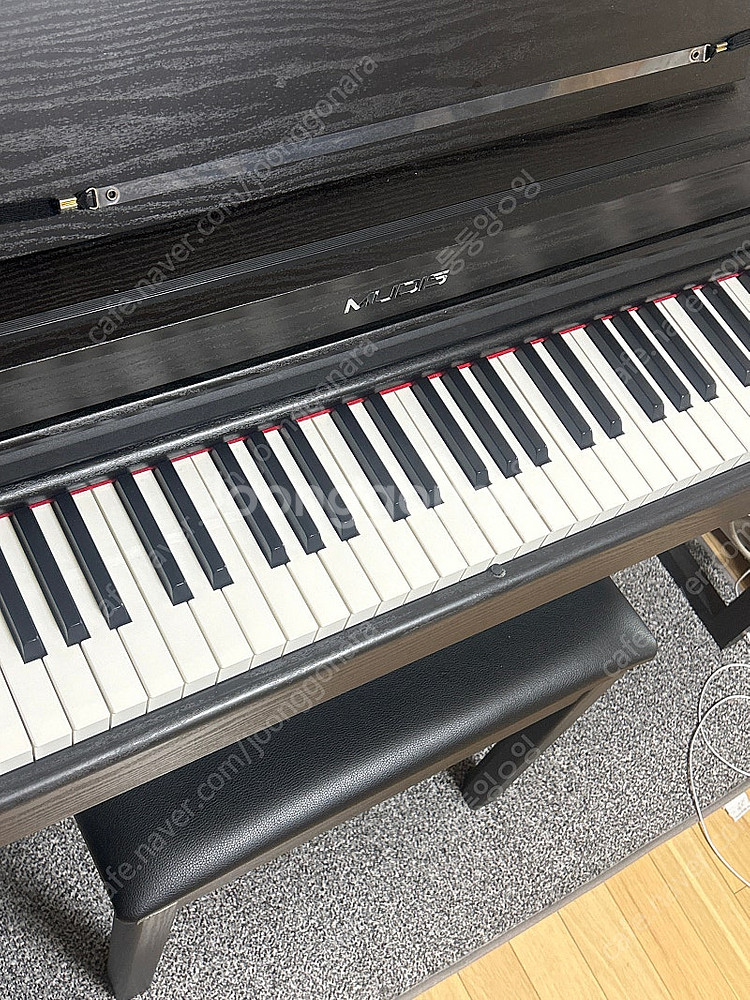 뮤디스300 MUDIS MF-300L Plus 디지털 ...--1