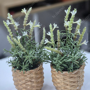 이케아 인조식물 화분