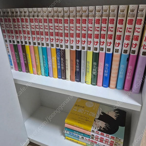 너에게닿기를 )1~30권,(29X),외전1,팬,가이드북 일본원서
