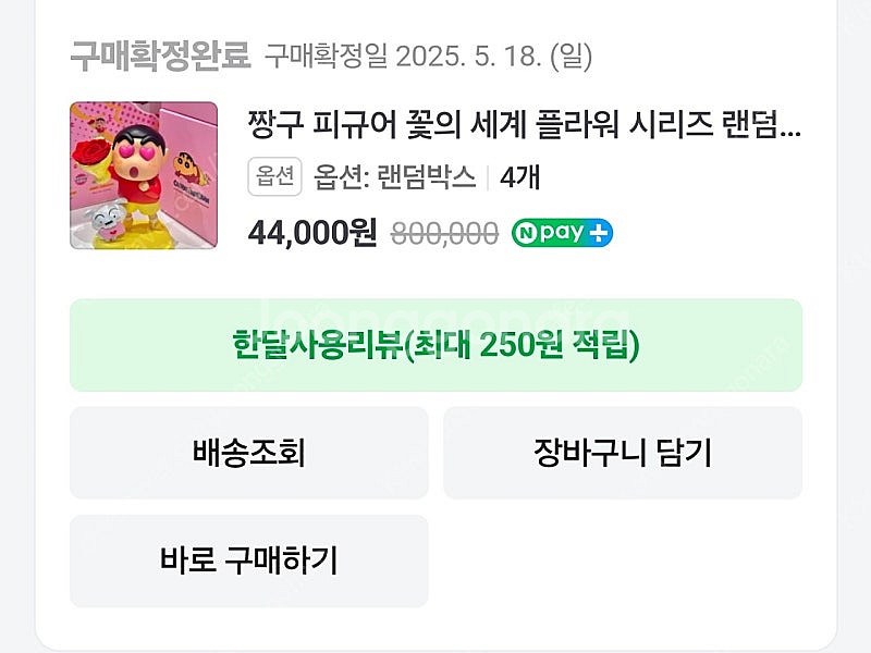 BESTINE 짱구 피규어 꽃의 세계 플라워 시리즈 랜...--1