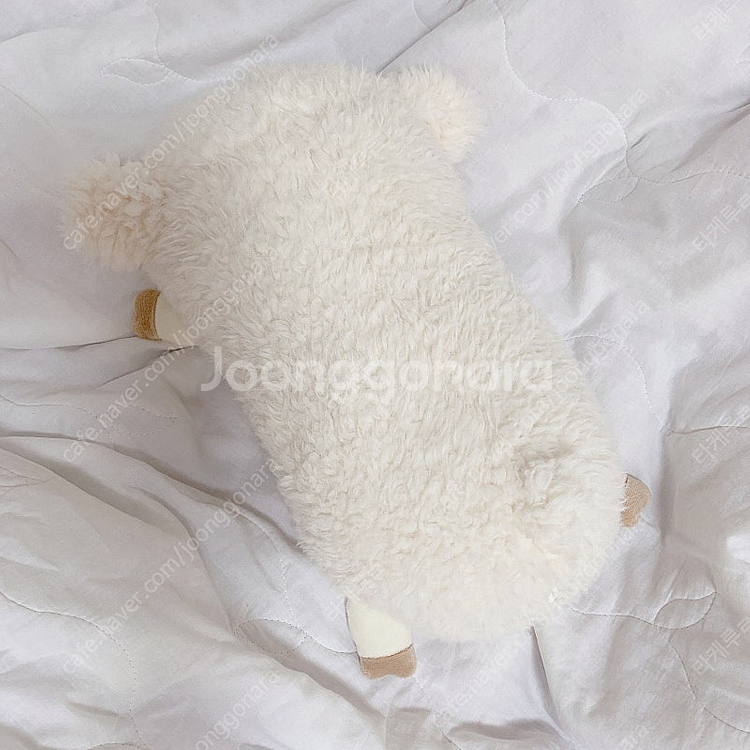 다이소 양 인형 양인형 쿠션--3