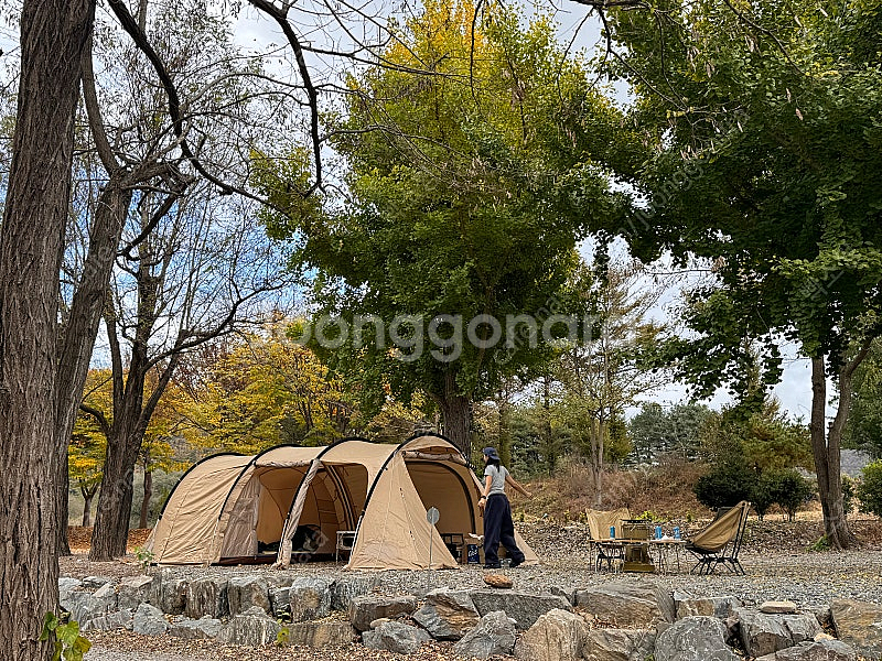 가마보코3m 일괄 판매합니다(탄색)--0