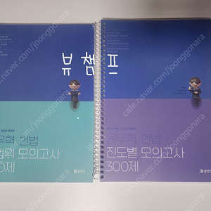 2025 윤우혁 헌법 진도별 300제 + 전범위 200제 모의고사 (2025 윤우혁 진모/동형)