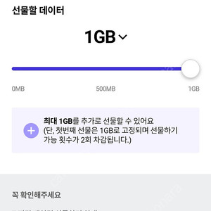 Skt 데이터 2기가 일괄 2900원
