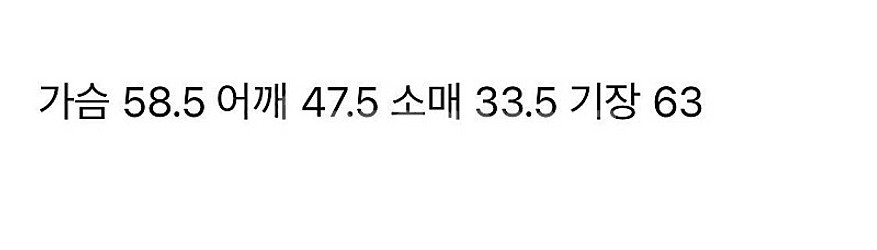 ㅇㅅ/ 셀린 반팔니트/ XXL--1