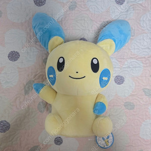 포켓몬 마이농 25cm 정품 인형