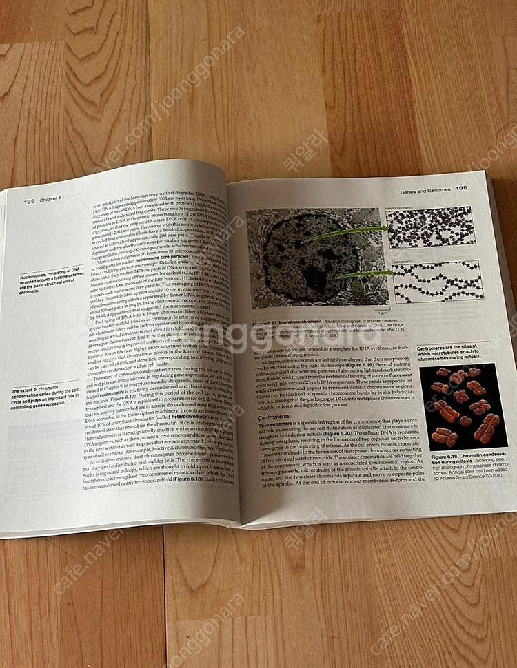 The Cell: A molecular approach...--1