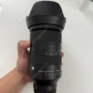 시그마 28-105mm 2.8 민트급 소니마운트 팝니다