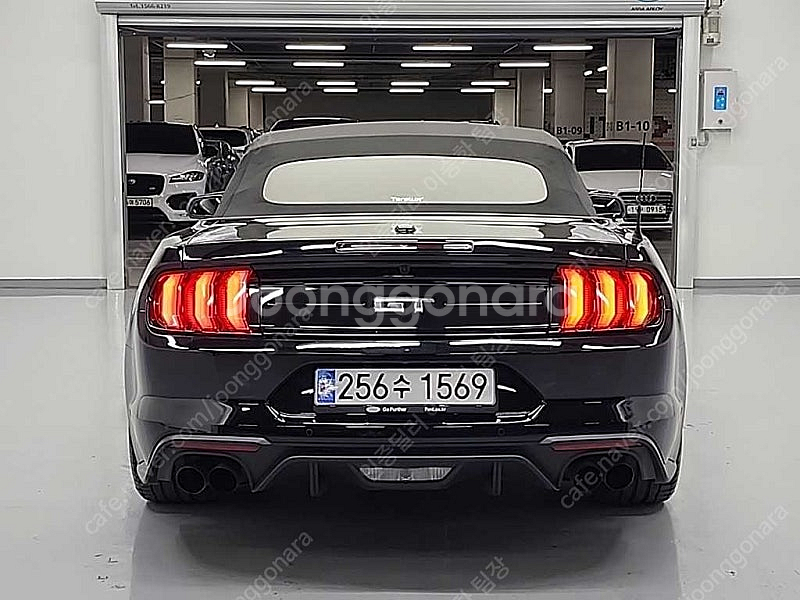 43,594 km 포드 머스탱 중고 포드 중고차 GT ...--8