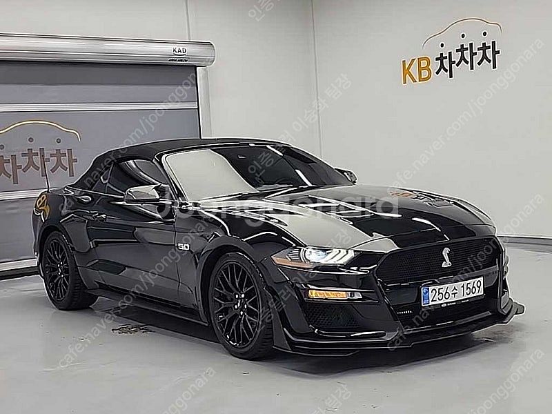 43,594 km 포드 머스탱 중고 포드 중고차 GT ...--9