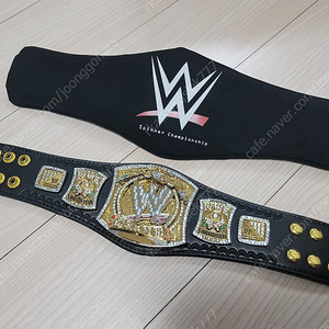 WWE 챔피언쉽 스피너 미니 레플리카 타이틀 벨트 판매 (정품 새제품)