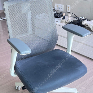 사이즈오브체어 베이직 S