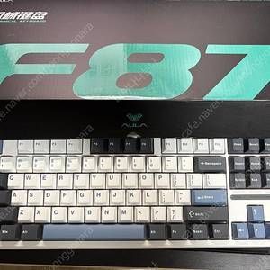 독거미 aula F87 Pro 그레이축