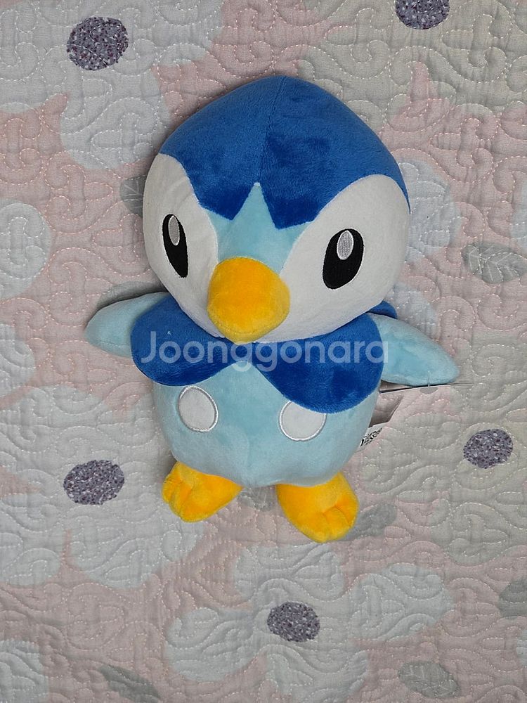 포켓몬 팽도리 25cm 정품 인형 (중국 내수용)--2