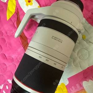 캐논 rf 100-500 백오백