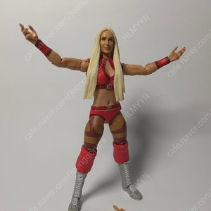 WWE 피규어 판매합니다 (얼티밋, 엘리트, 레전드 등)
