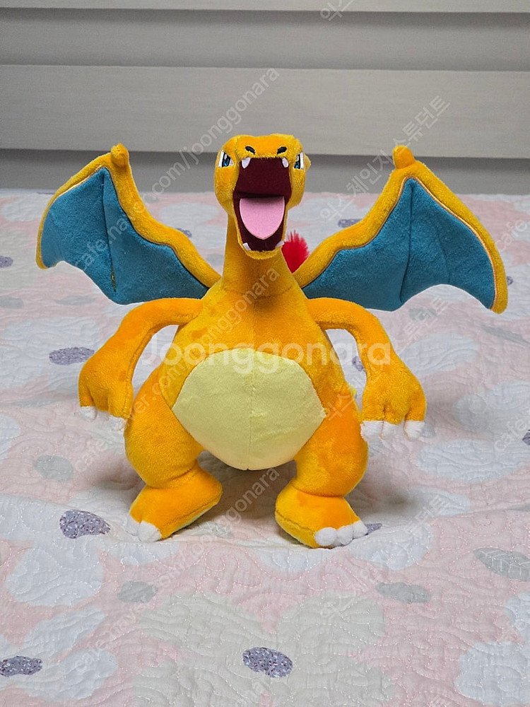 포켓몬 리자몽 25cm 정품 인형--0