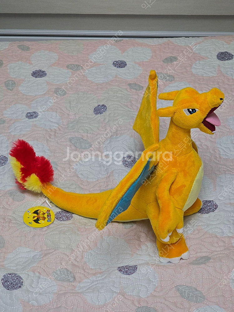포켓몬 리자몽 25cm 정품 인형--3