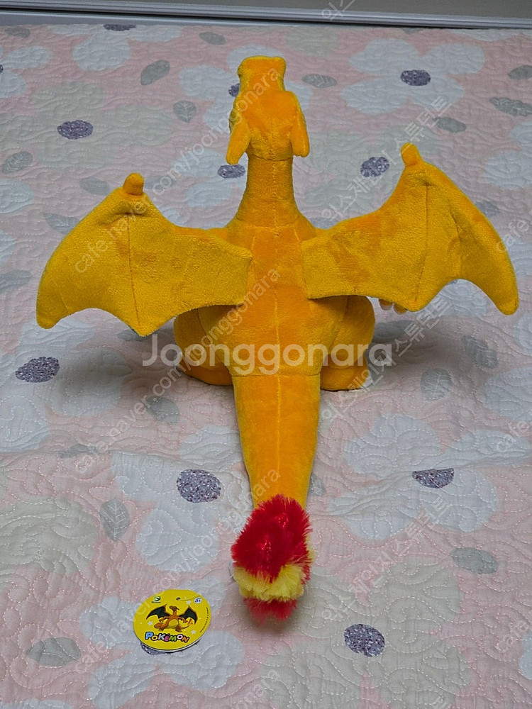 포켓몬 리자몽 25cm 정품 인형--4