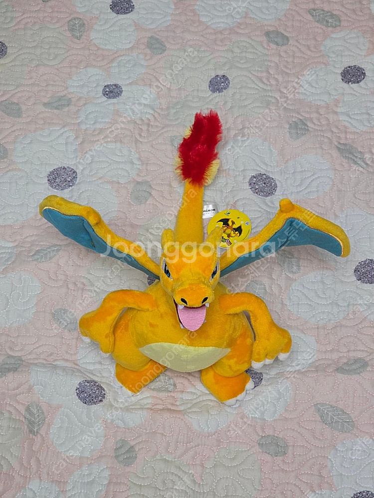 포켓몬 리자몽 25cm 정품 인형--5