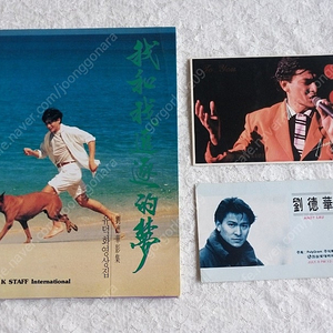 1991년 ,유덕화 영상집, TO YOU 엽서, 유덕화, 잠실롯데백화점 카드