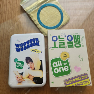 변우석 보조배터리