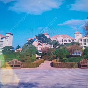 대명리조트 양양쏠비치. 거제소노캄 7월 31 8월