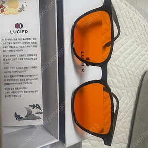 루시에르 나이트렌즈