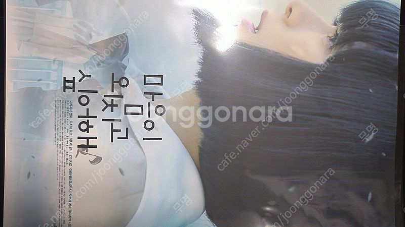 바람계곡의 나우시카 ttt, 러브레터 렌티큘러 도서카드...--3