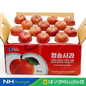청솔사과