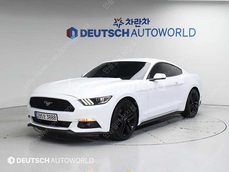 포드 머스탱 중고 머스탱 중고차 흰색 2016년식 쿠페...--0