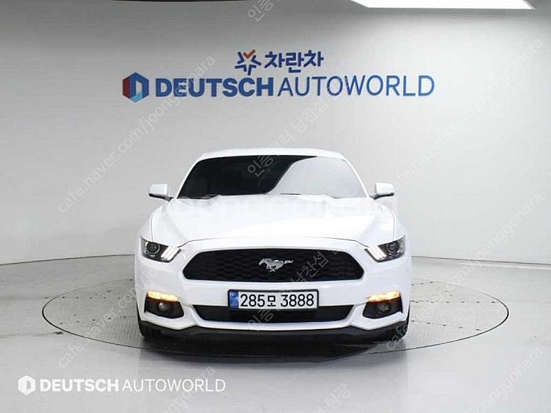 포드 머스탱 중고 머스탱 중고차 흰색 2016년식 쿠페...--4