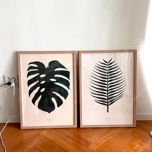 몬스테라 액자 (각1만원)/ 동춘상회 세익스피어 보태니컬 액자(2만원) / 사슴드로잉 액자(8천원)