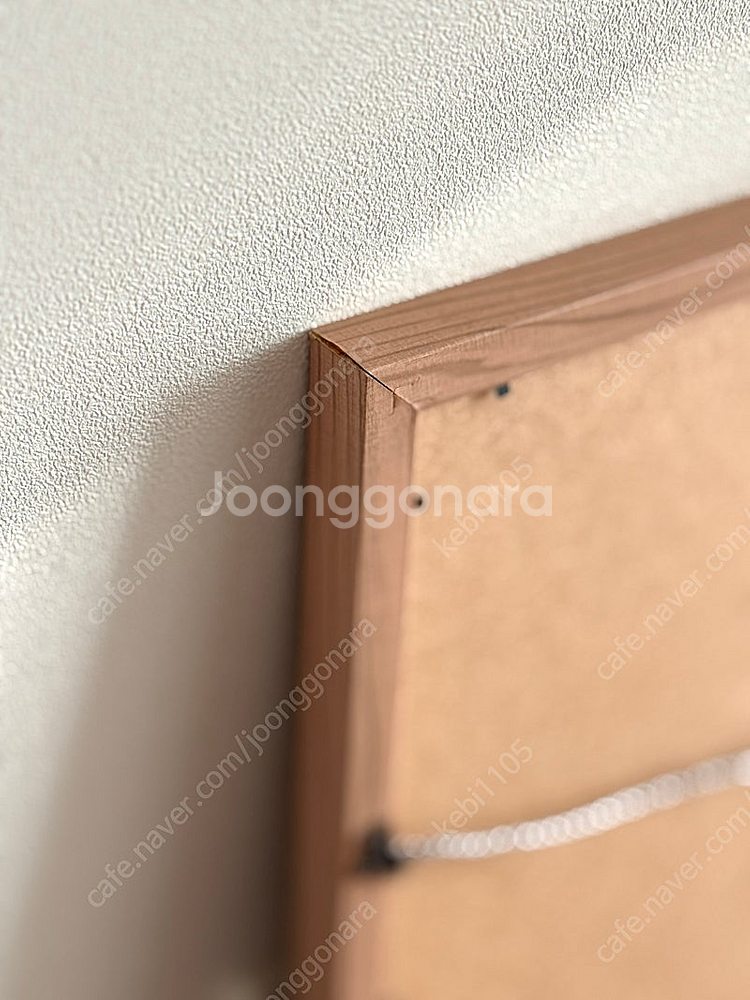 몬스테라 액자 (각1만원)/ 동춘상회 세익스피어 보태니...--2