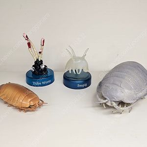 생물대도감 카이요도 이키몬 심해생물 피규어 바티노무스